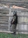 Airsoft action 170.jpg